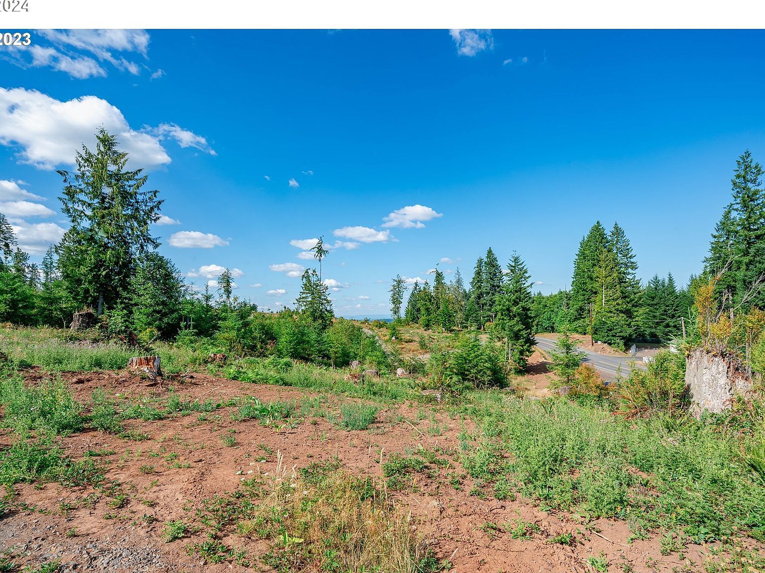 0 Silver Lake #8 Castle Rock, WA 98611 - Thumbnail 5