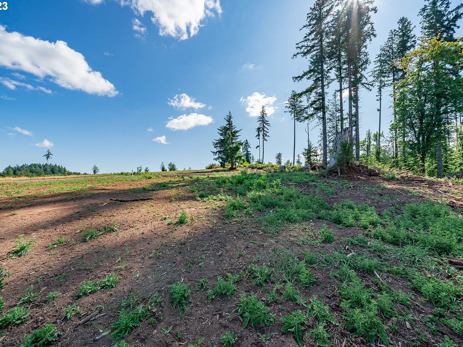 0 S Silver Lake Rd #1 Castle Rock, WA 98611 - Thumbnail 5