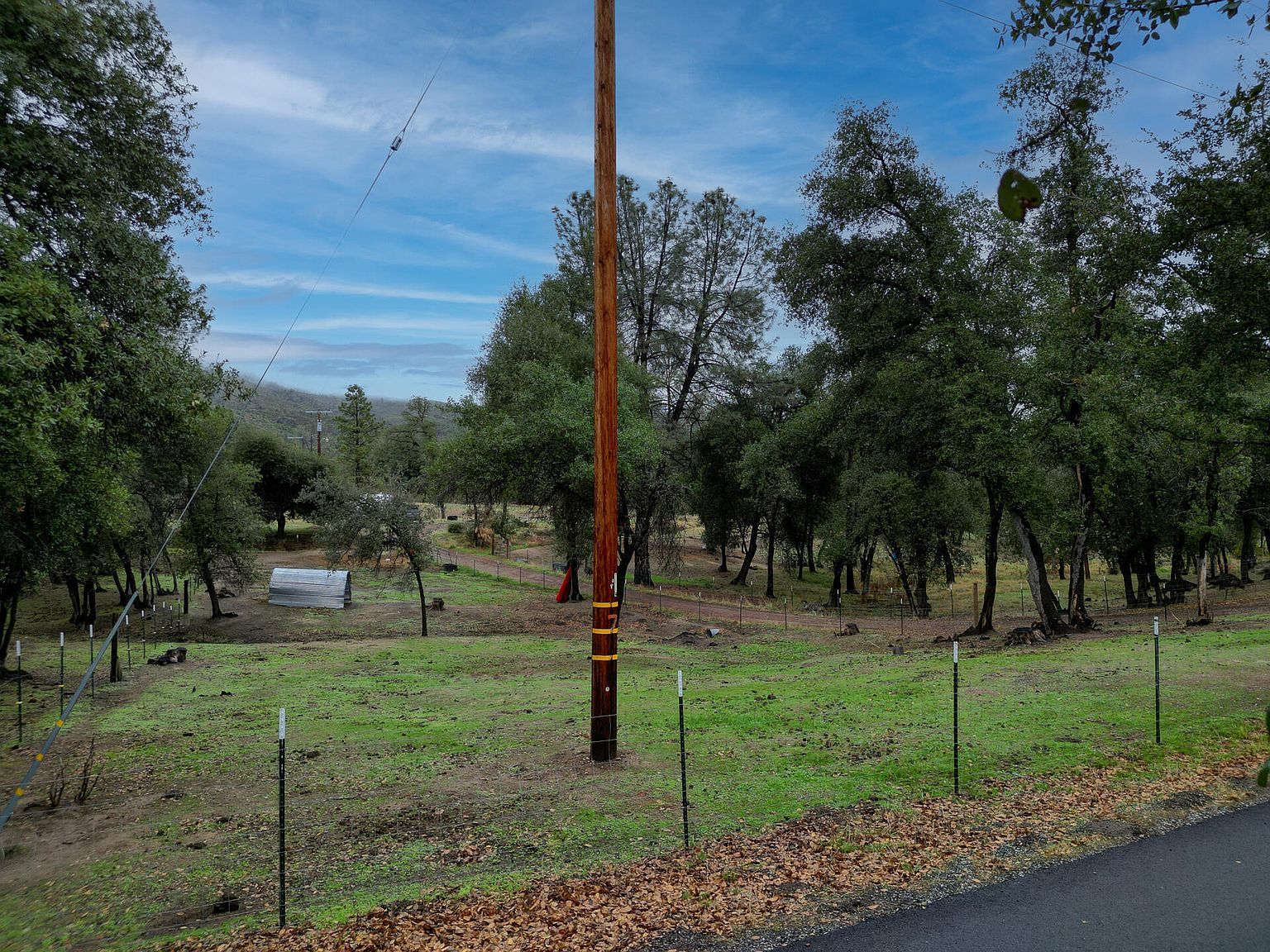 12562 Bender Rd Igo, CA 96047 - Thumbnail 5