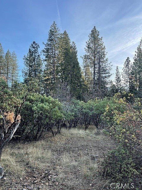 6172 Shad Way Pollock Pines, CA 95726 - Thumbnail 5