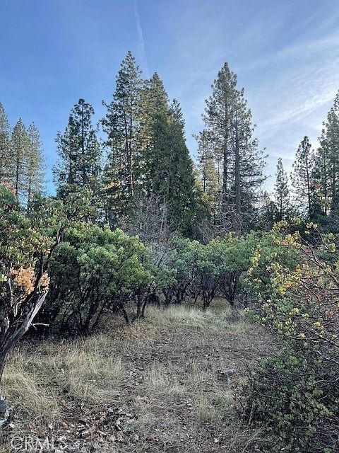 6172 Shad Way #47 Pollock Pines, CA 95726 - Thumbnail 5