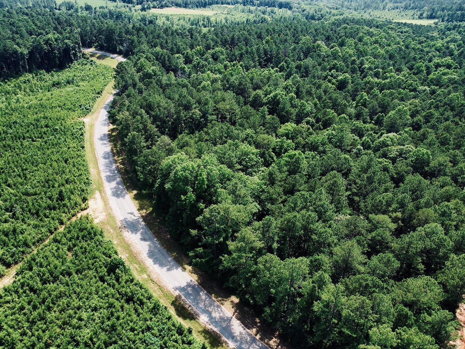 0 County Road 3115 LOT 7 Vossburg, MS 39366 - Thumbnail 5