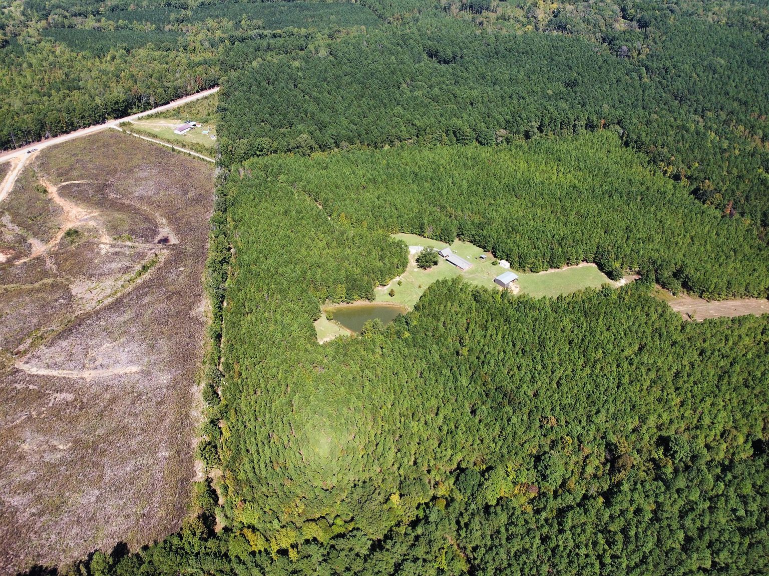 LOT 4 State Highway 790 Ackerman, MS 39735 - Thumbnail 5