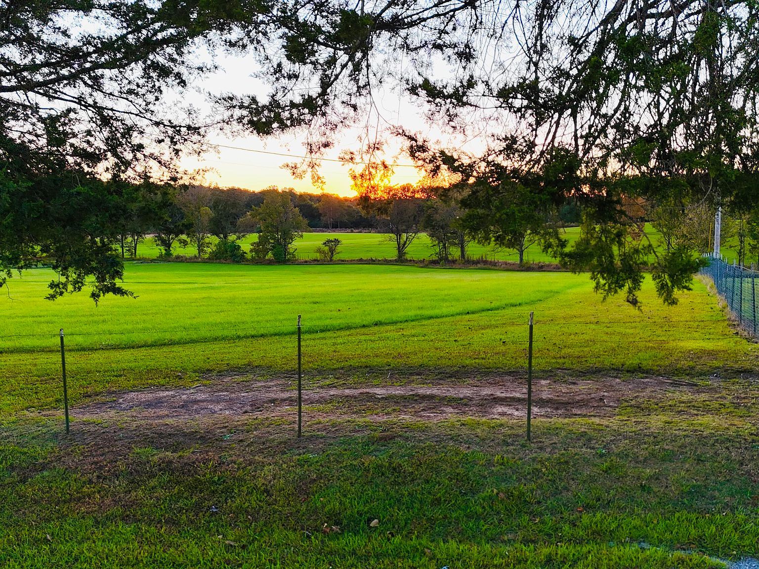 County Road 516 Rienzi, MS 38865 - Thumbnail 5