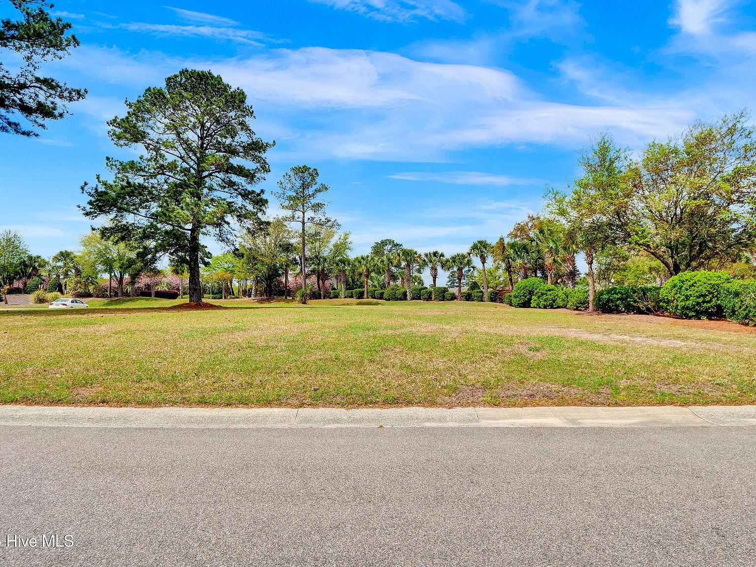 1007 Natural Springs Way Leland, NC 28451 - Thumbnail 5