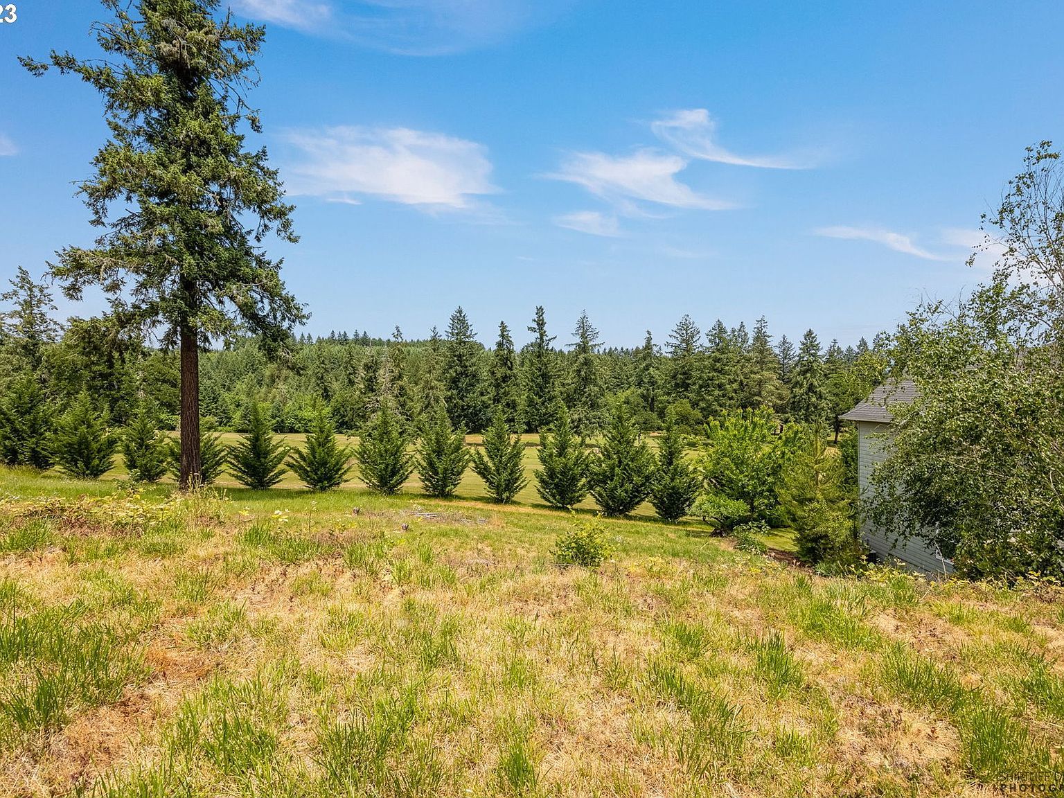 980 Holly Ave Cottage Grove, OR 97424 - Thumbnail 5