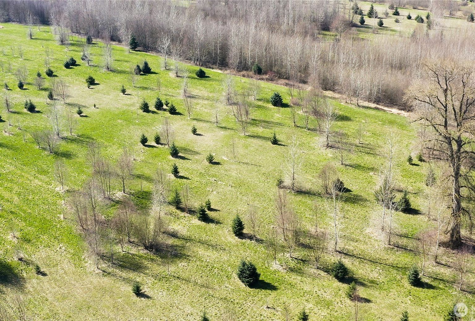 2323 Lindgren Rd Mount Vernon, WA 98273 - Thumbnail 5