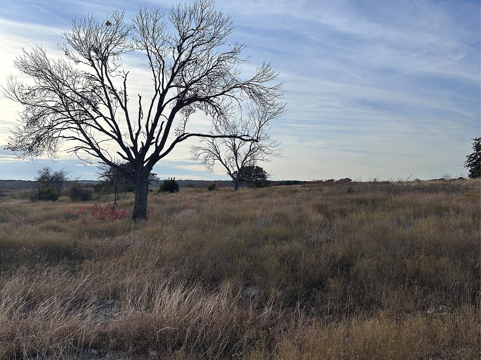 245 Grand Canyon Dr Oglesby, TX 76561 - Thumbnail 5