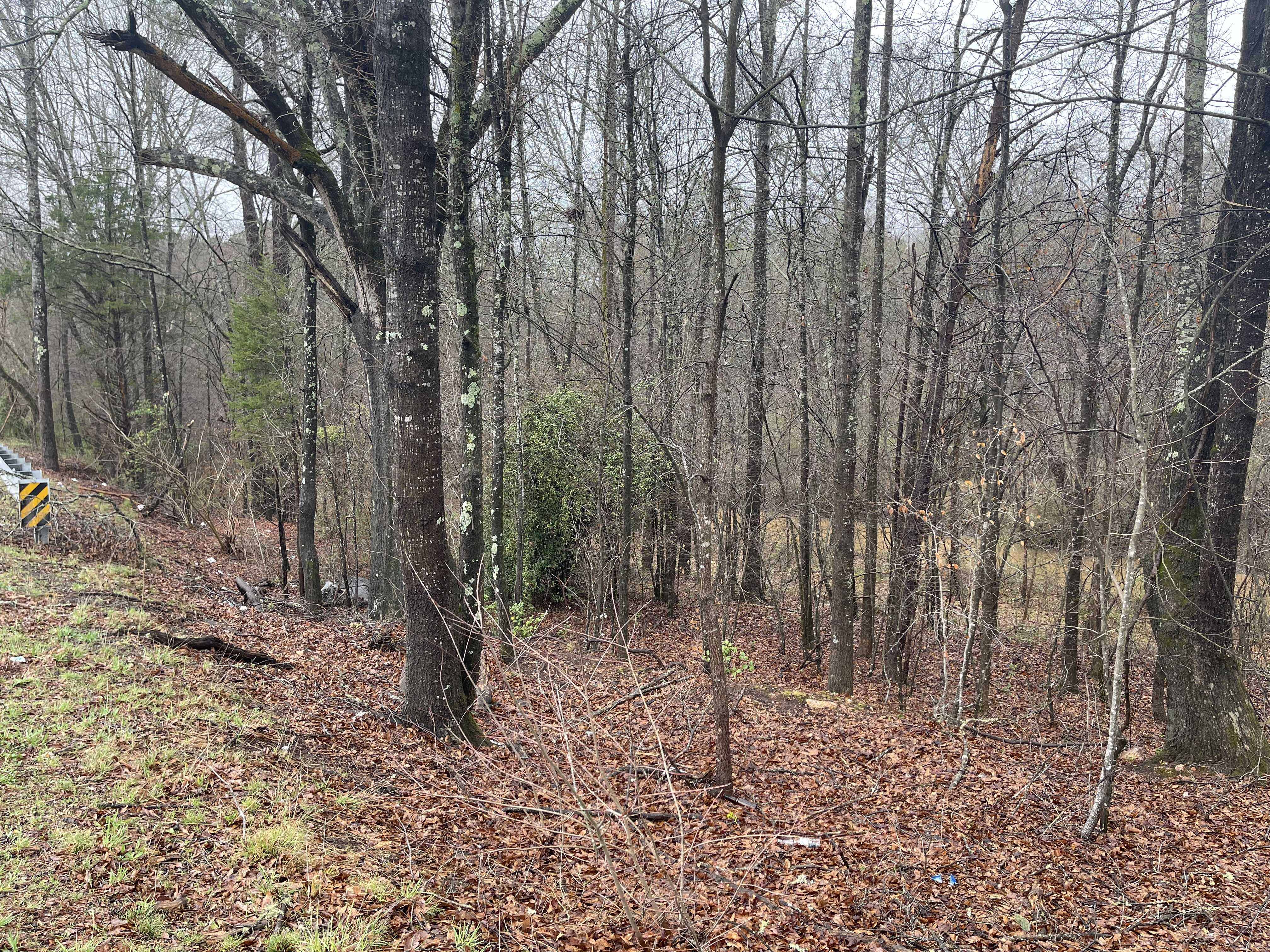 Anderson Mill Road, Greer, SC, USA, Five Forks, 29651 - Thumbnail 5