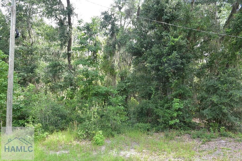 42 Japonica Dr Midway, GA 31320 - Thumbnail 5