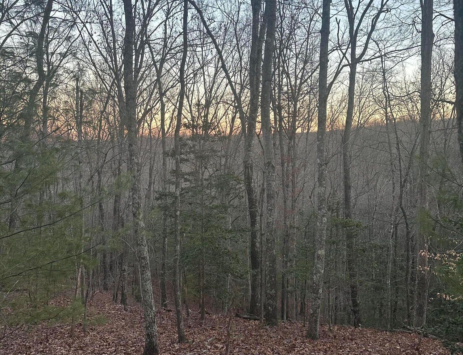 LOT 37 Green Ridge Trl Harriman, TN 37748 - Thumbnail 5
