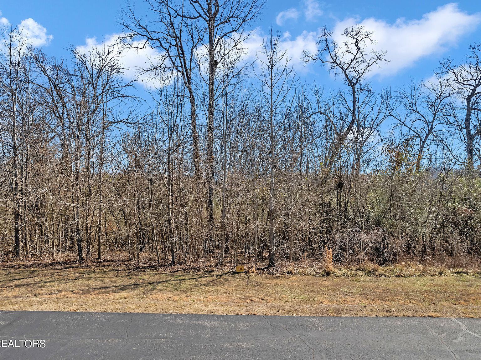 429 Water View Dr Rockwood, TN 37854 - Thumbnail 5