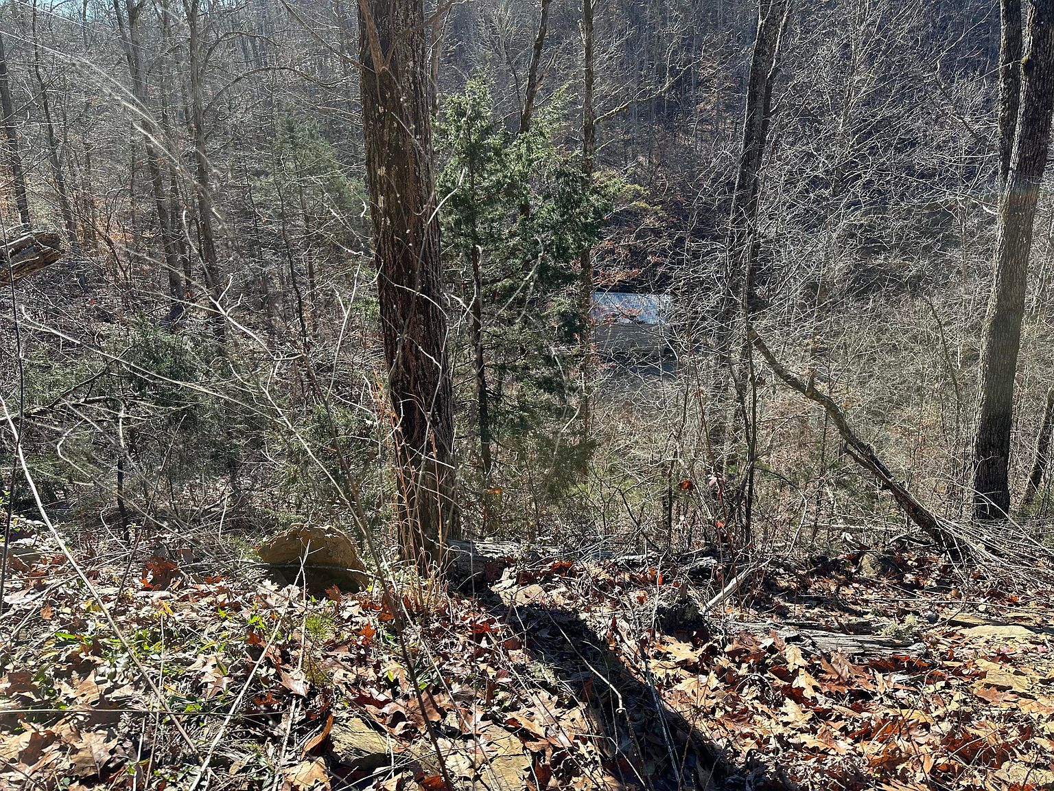 907 Sharp Rd Sevierville, TN 37876 - Thumbnail 5