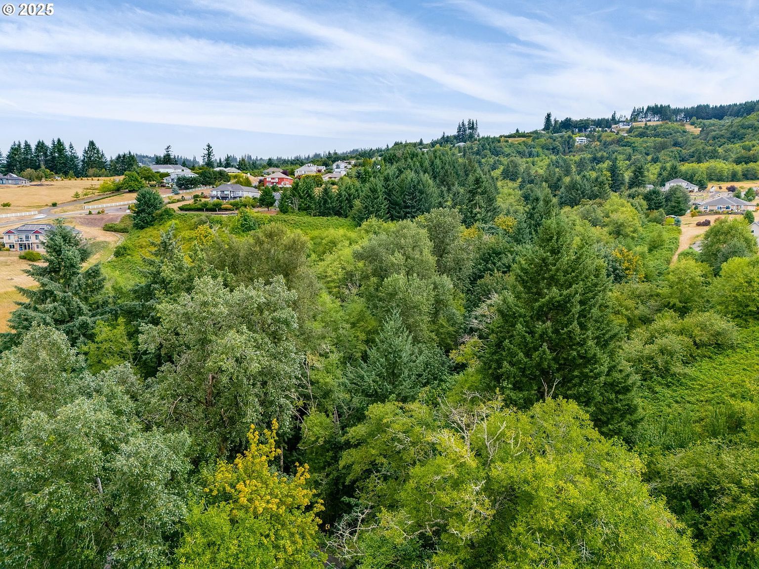 4950 Green Mountain Rd Kalama, WA 98625 - Thumbnail 5