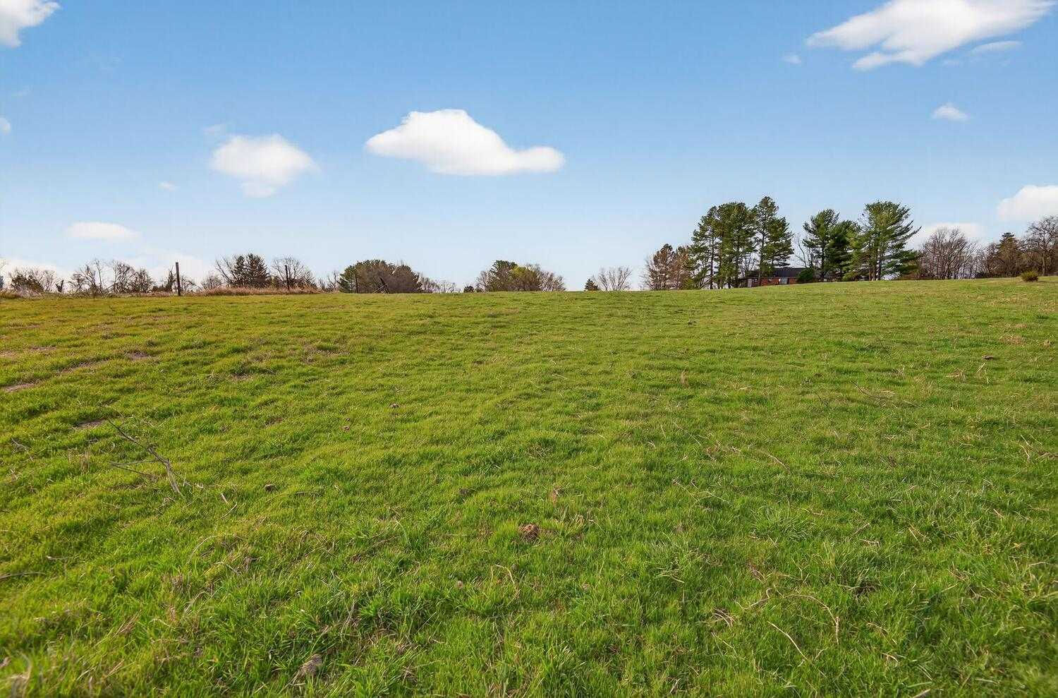 40246 Thomas Mill Rd, Leesburg, VA 20175, USA - Thumbnail 5