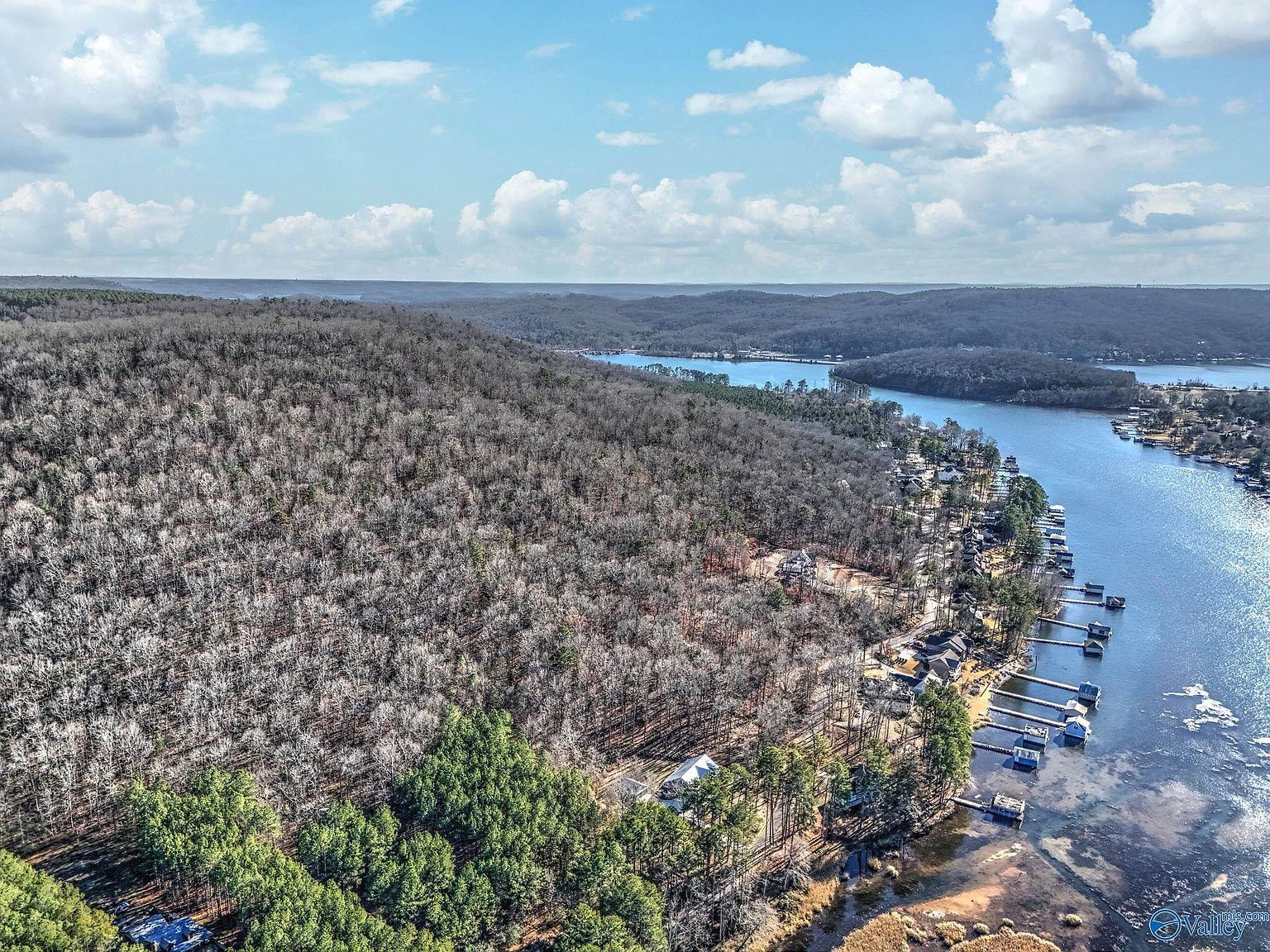 5 White Elephant Rd Grant, AL 35747 - Thumbnail 5