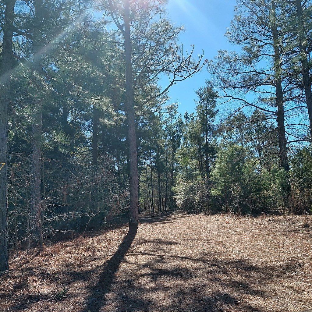 100 Sparrow Dr Box Springs, GA 31801 - Thumbnail 5