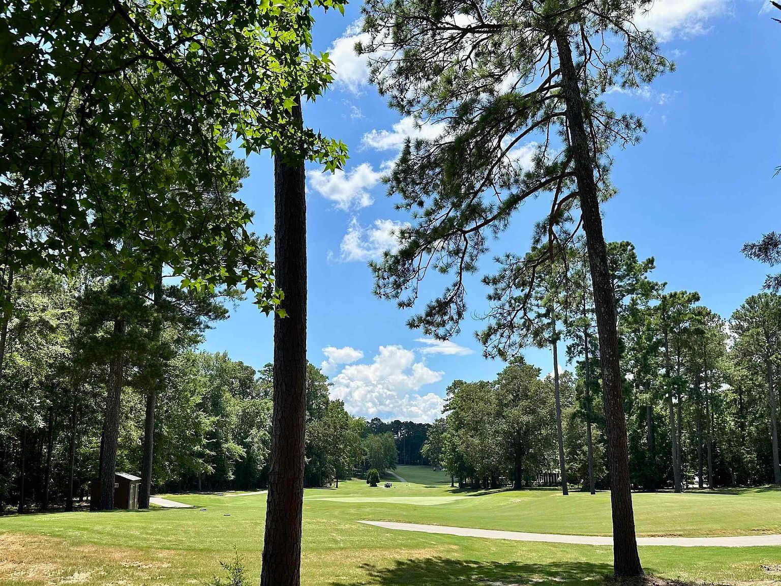 546 Misty Banks Dr LOT 87 Chapin, SC 29036 - Thumbnail 5