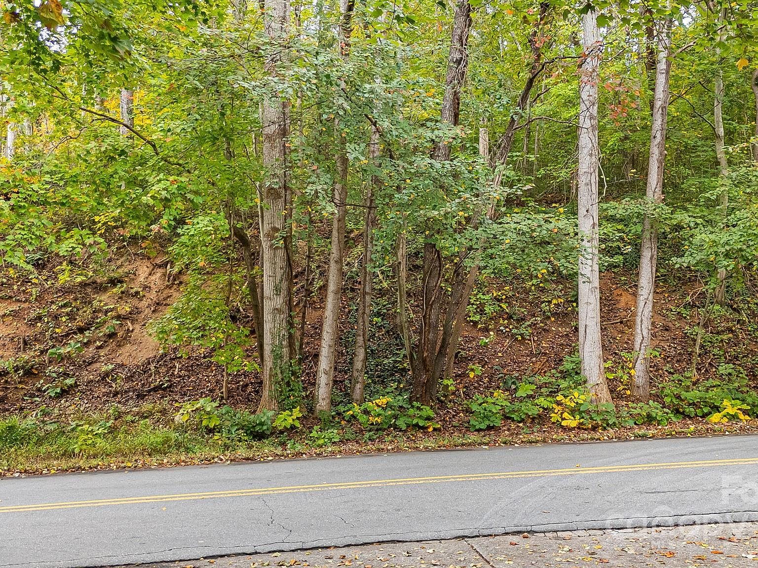 455 Governors View Rd Asheville, NC 28805 - Thumbnail 5