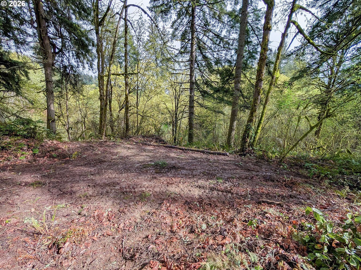 0 NE Finalburg Rd La Center, WA 98629 - Thumbnail 5