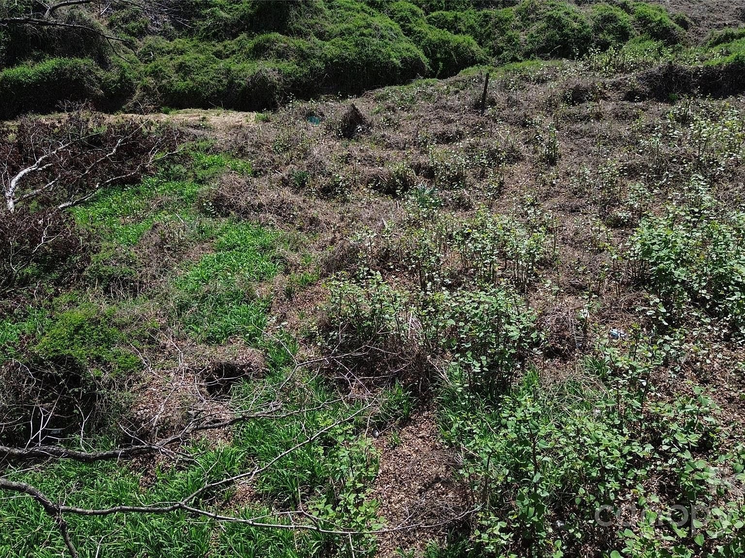 99999 Thole St Marion, NC 28752 - Thumbnail 5