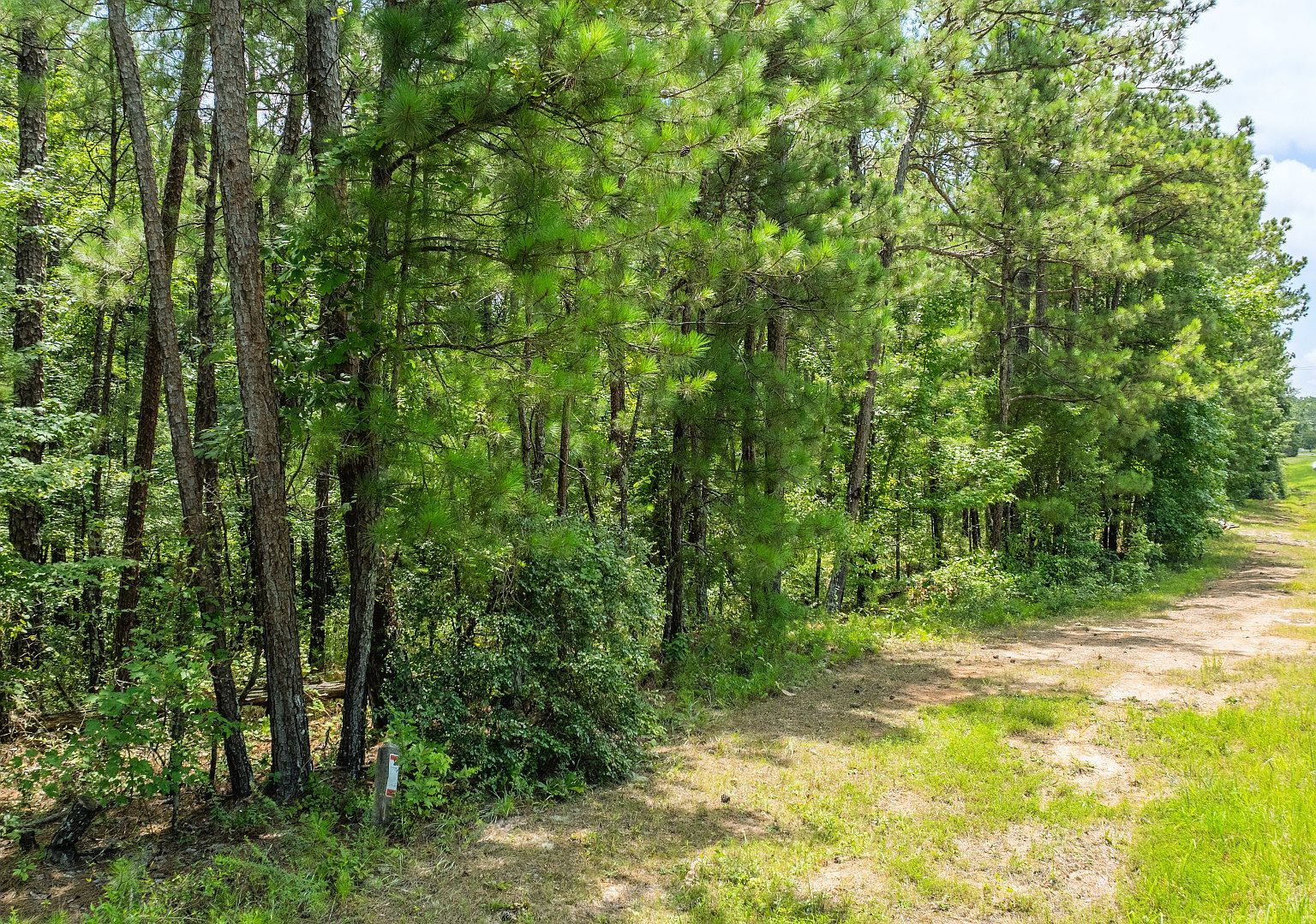 0 State Route 42 Fort Valley, GA 31030 - Thumbnail 5