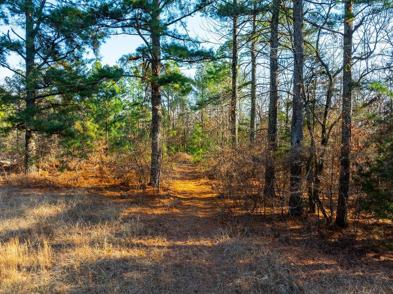 (undisclosed Address), Batesville, AR, 72501 - Thumbnail 5