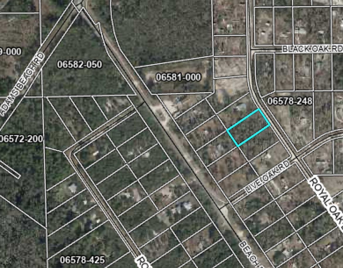 LOT 1 E Royal Oak Dr Perry, FL 32348 - Thumbnail 5