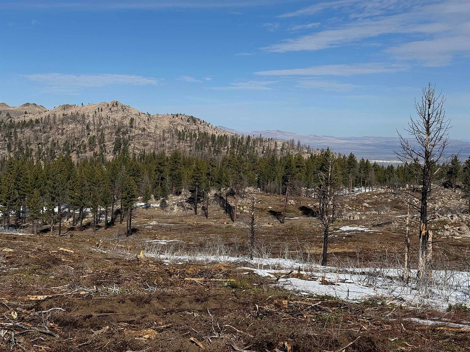 434-100 Diamond Mountain Rd Doyle, CA 96109 - Thumbnail 5