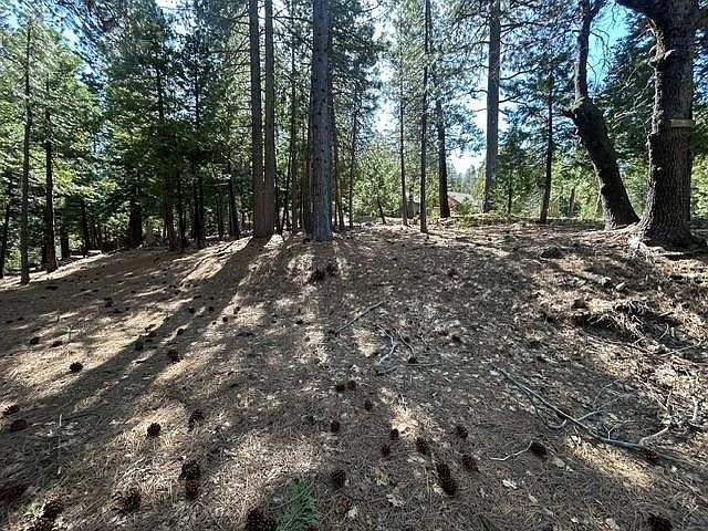 2179 Navajo Dr Arnold, CA 95223 - Thumbnail 5