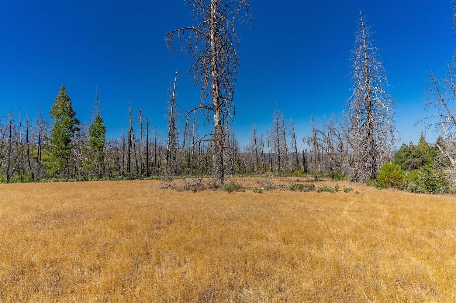 17074 Betty Kaye Ln Mountain Ranch, CA 95246 - Thumbnail 5