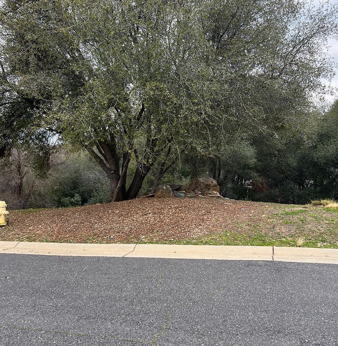 745 Grinding Rock Rd Angels Camp, CA 95222 - Thumbnail 5