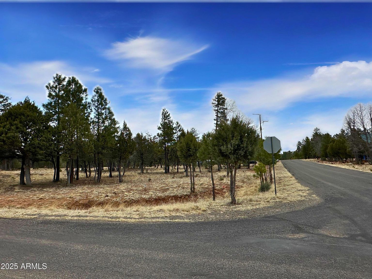 2120 Aztec Cir #171 Happy Jack, AZ 86024 - Thumbnail 5