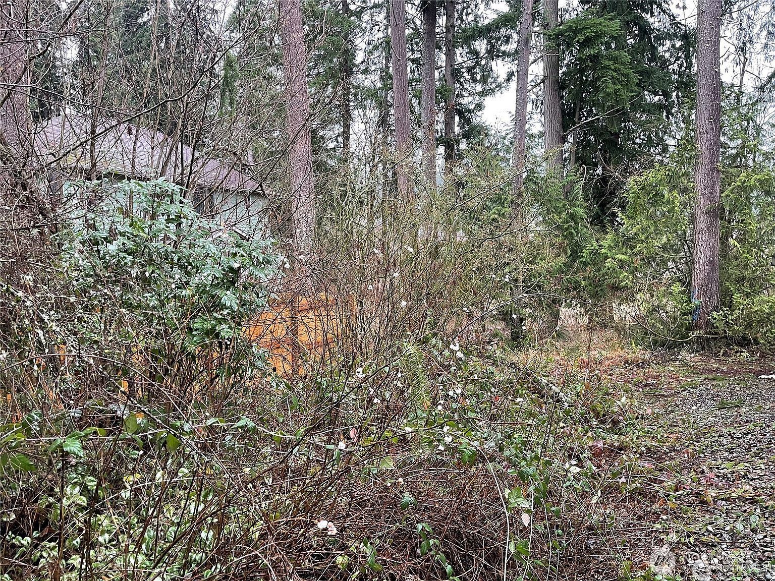 17616 Vine Ln SE Yelm, WA 98597 - Thumbnail 5