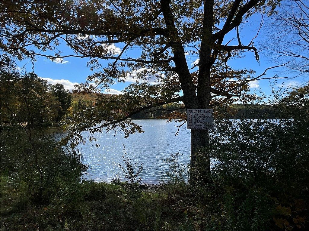 70 E Masonville Pond Rd Sidney Center, NY 13839 - Thumbnail 5