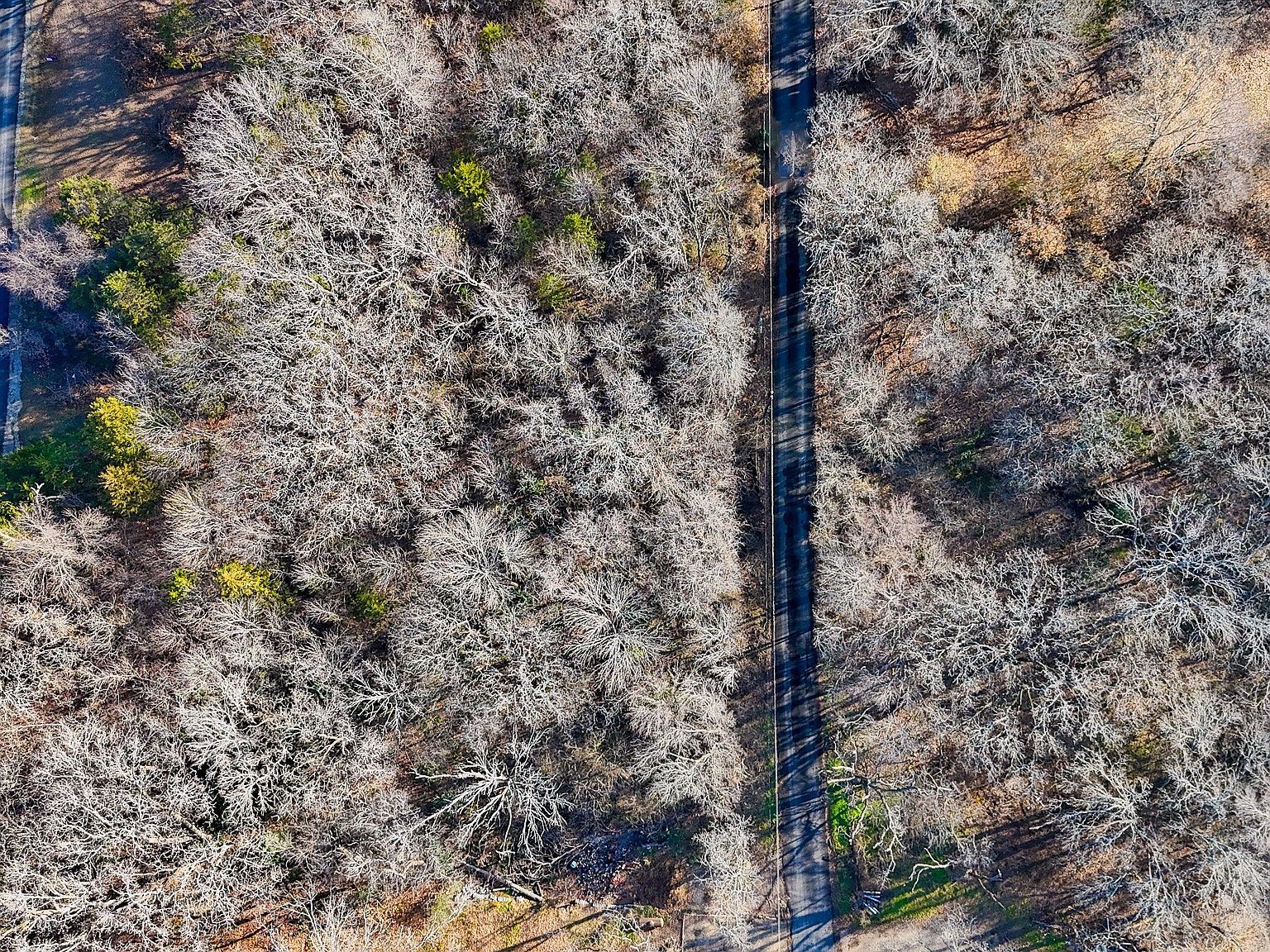 NW County Road 3323 Frost, TX 76641 - Thumbnail 5