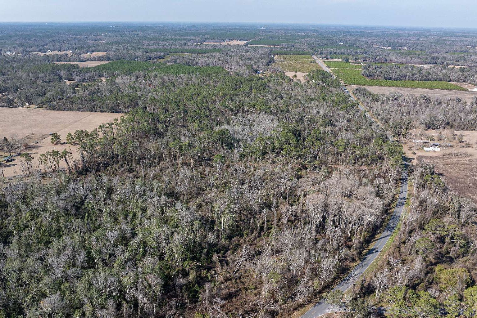 136 Tbd Cir #A Live Oak, FL 32060 - Thumbnail 5