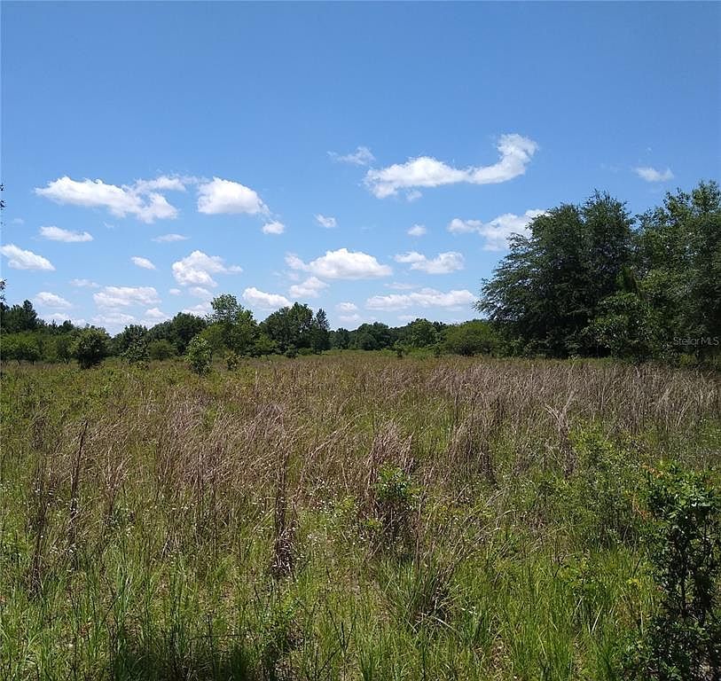 NE County Road 138 #6768, Branford, FL, 32008 - Thumbnail 5