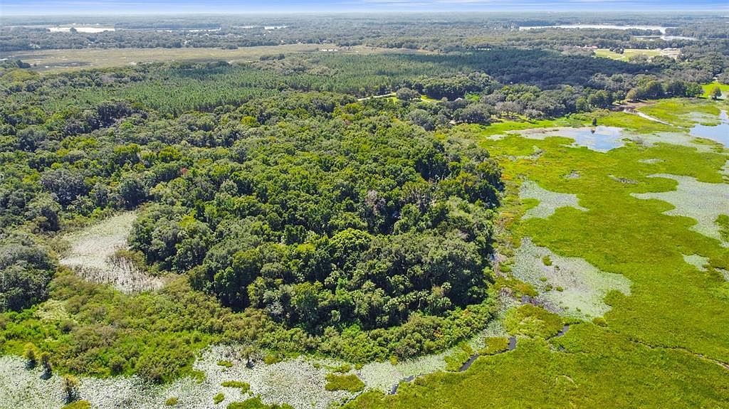 6661 E Turner Camp Rd Inverness, FL 34453 - Thumbnail 5