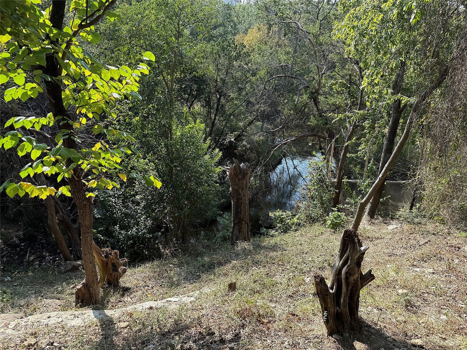 1011 Hidden Cove Trl Granbury, TX 76049 - Thumbnail 5