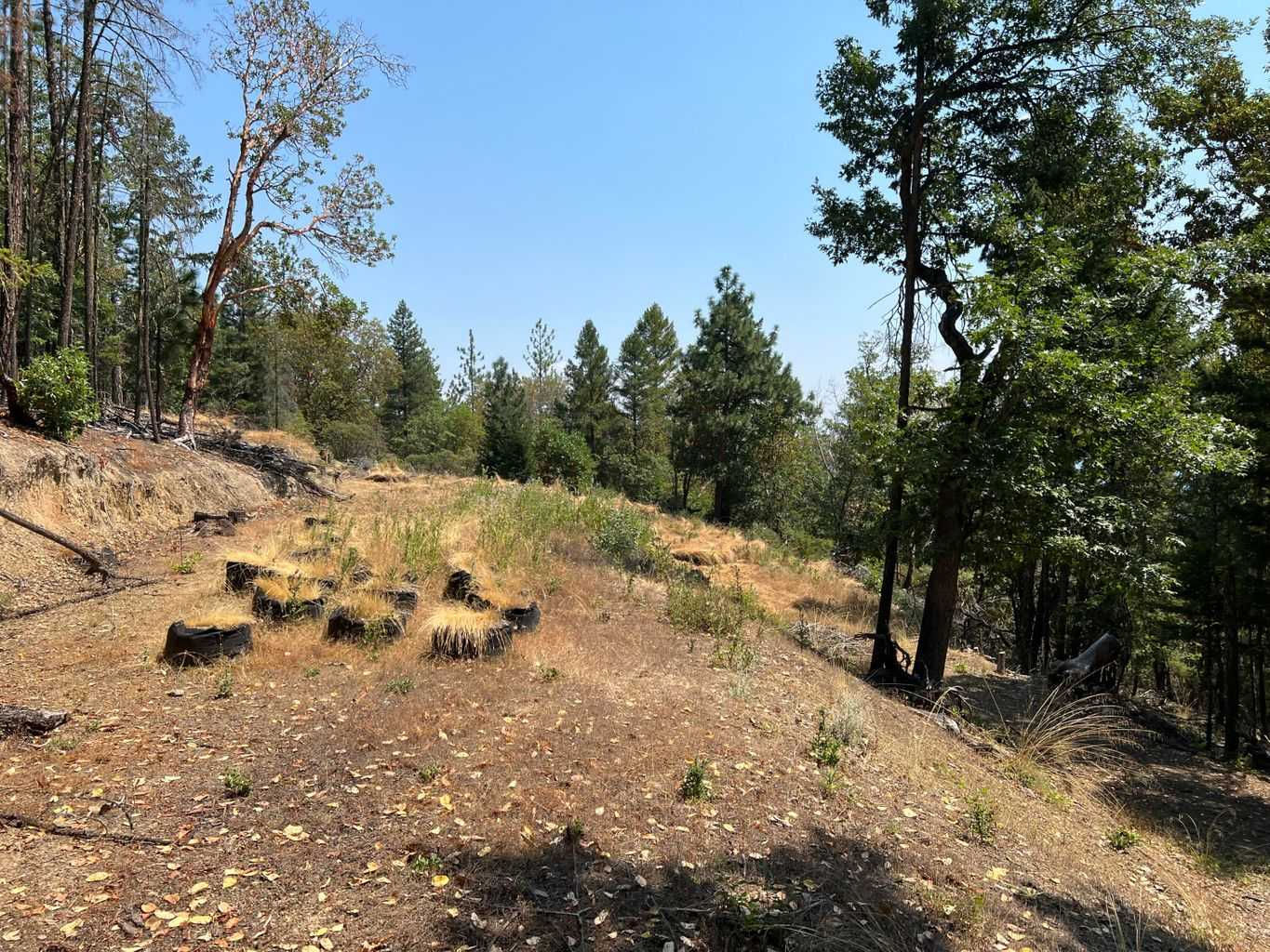 Arrowhead Pass, Jacksonville, OR, 97530  | Land/Lot