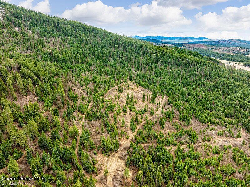 497 Thimbleberry Ln Plummer, ID 83851 - Thumbnail 5