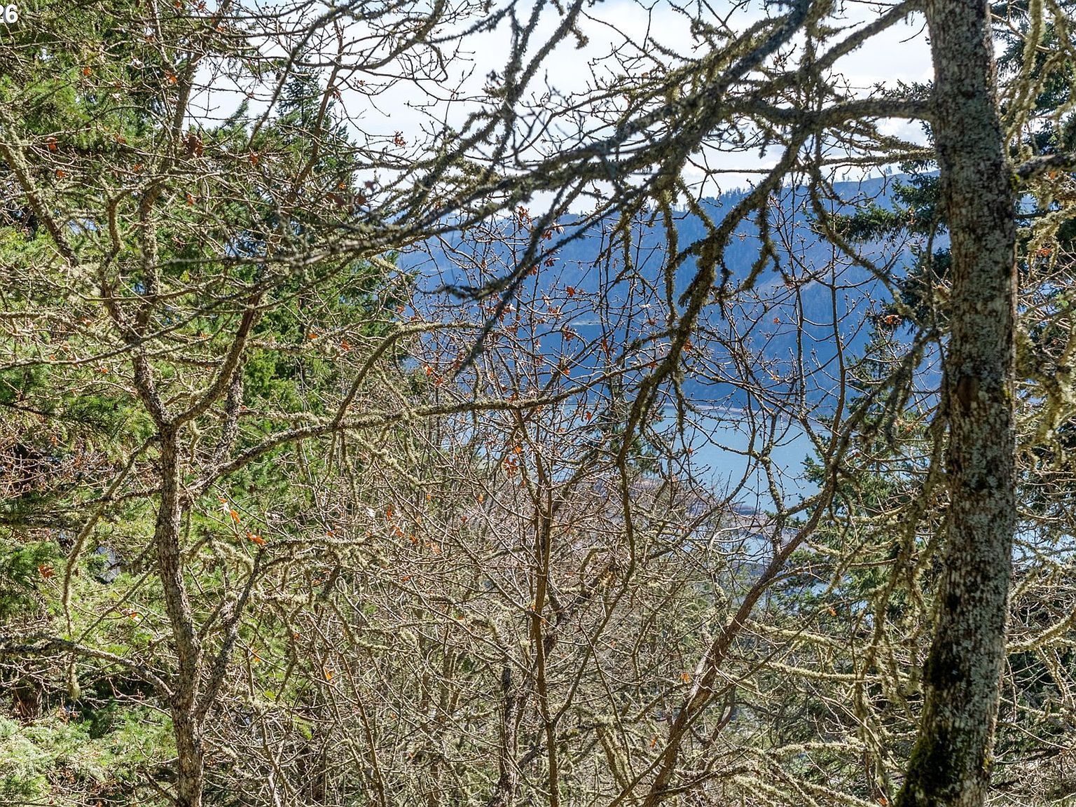 735 NW Strawberry Mountain Rd White Salmon, WA 98672 - Thumbnail 5