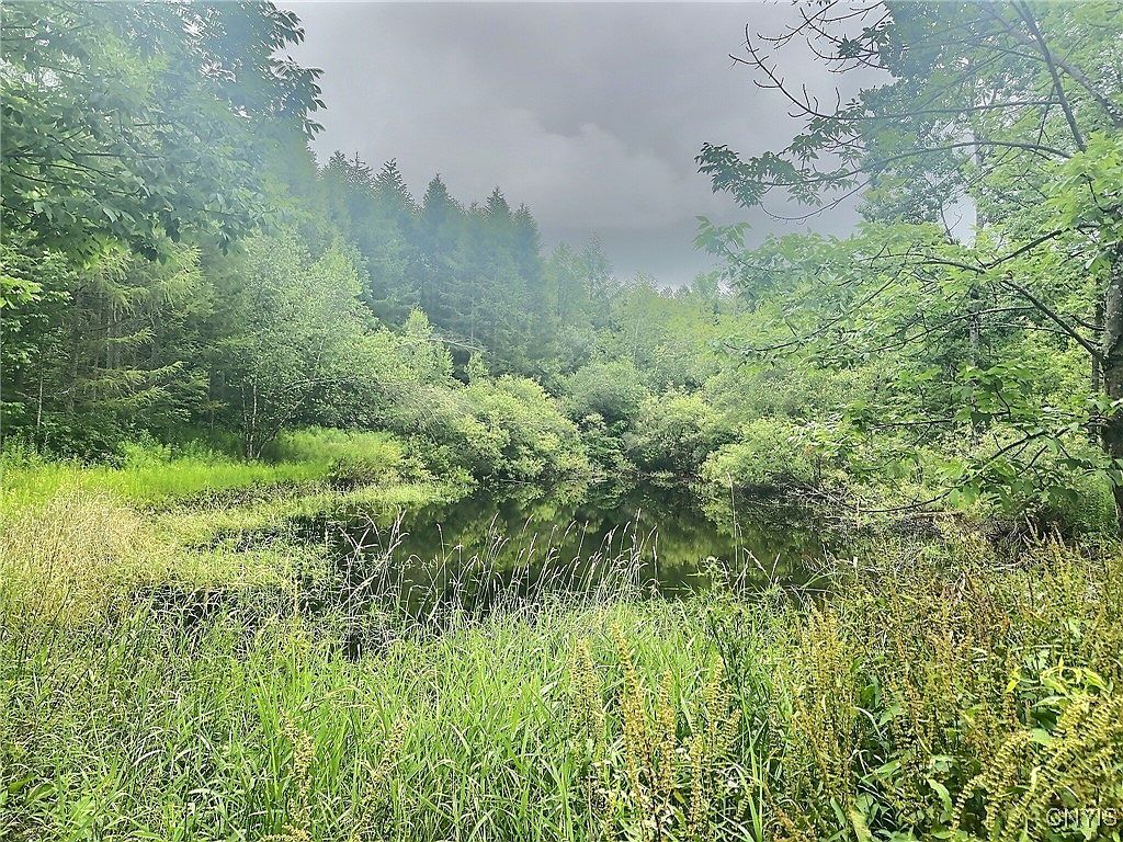 3776 State Highway 80 #8 Sherburne, NY 13460 - Thumbnail 5