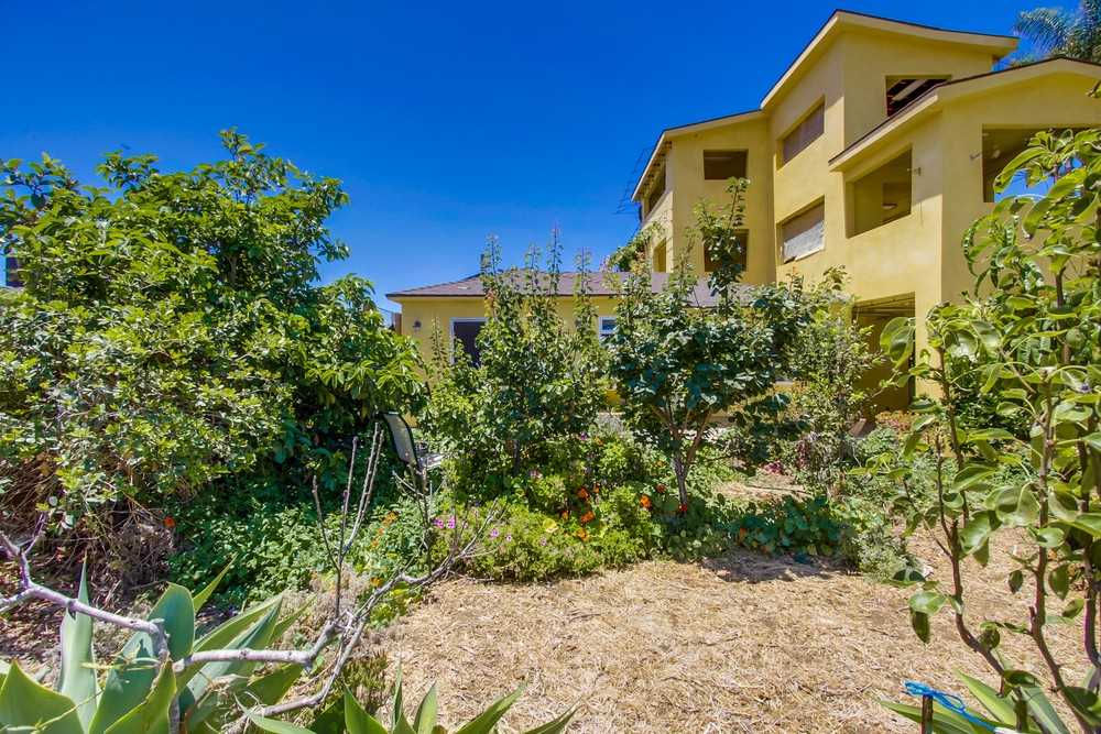 4783 Pescadero Avenue, San Diego, CA, USA, 92107 - Thumbnail 5