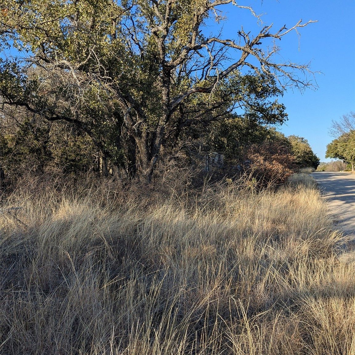 (undisclosed Address) Brownwood, TX 76801  | Land/Lot