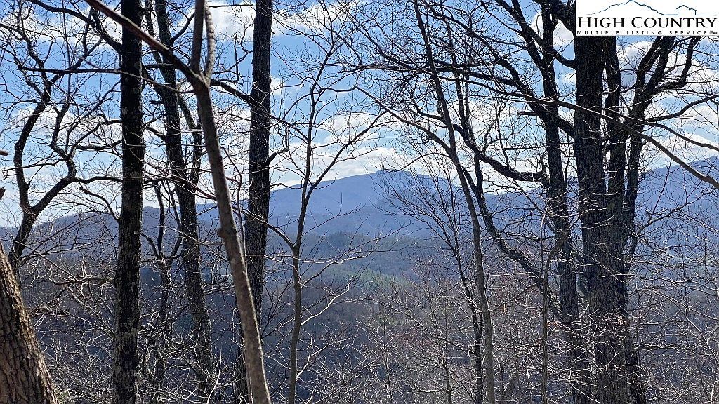 223 Rubin Walker Rd Vilas, NC 28692 - Thumbnail 5