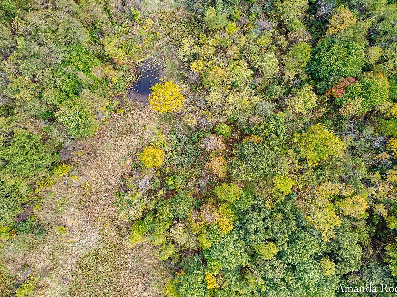 0 Sayles Rd Saranac, MI 48881 - Thumbnail 5