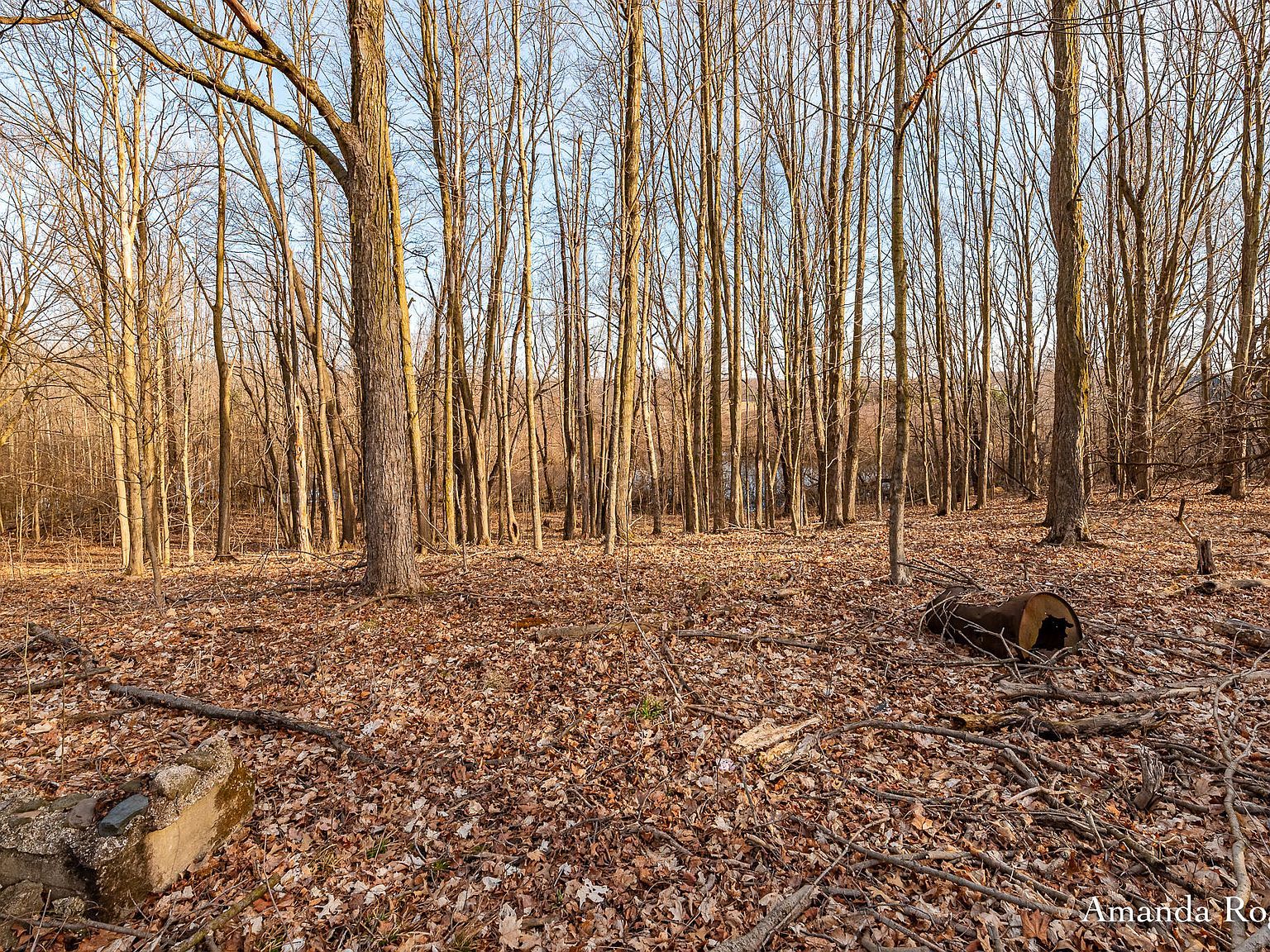 14047 Four Mile Rd NE Lowell, MI 49331 - Thumbnail 5