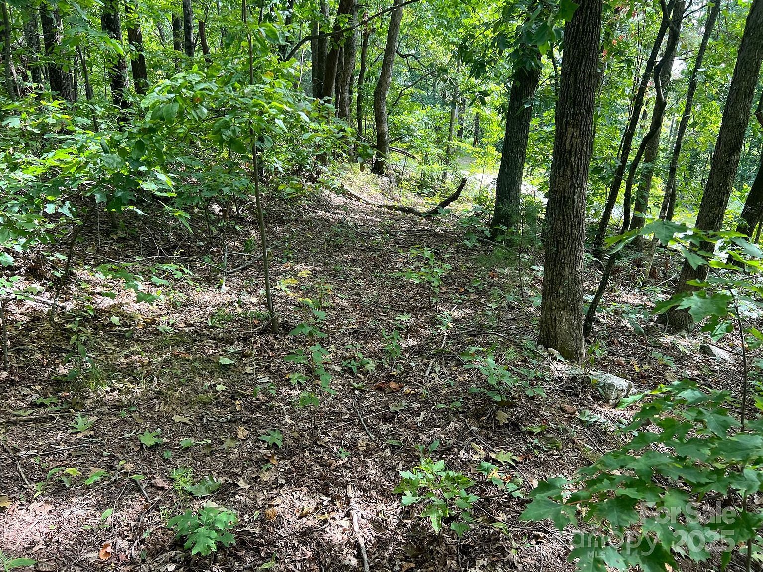 6792 Silver Creek Ln Morganton, NC 28655 - Thumbnail 5